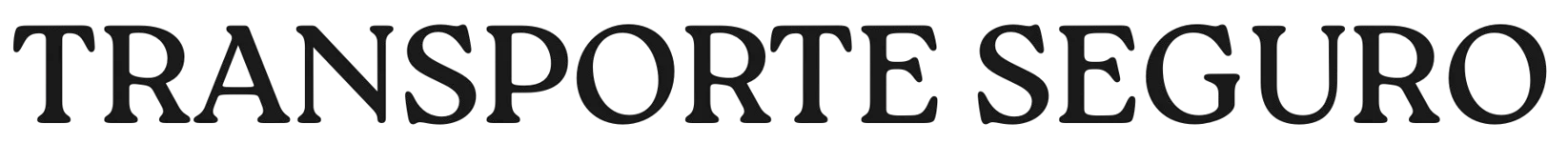 logo footer